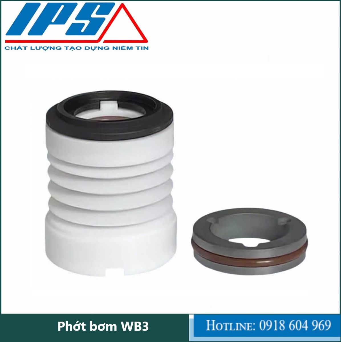 Phớt bơm WB3-13.